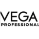 Vega professional Logo